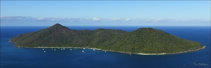 Fitzroy Island - QLD (PBH4 00 14160)